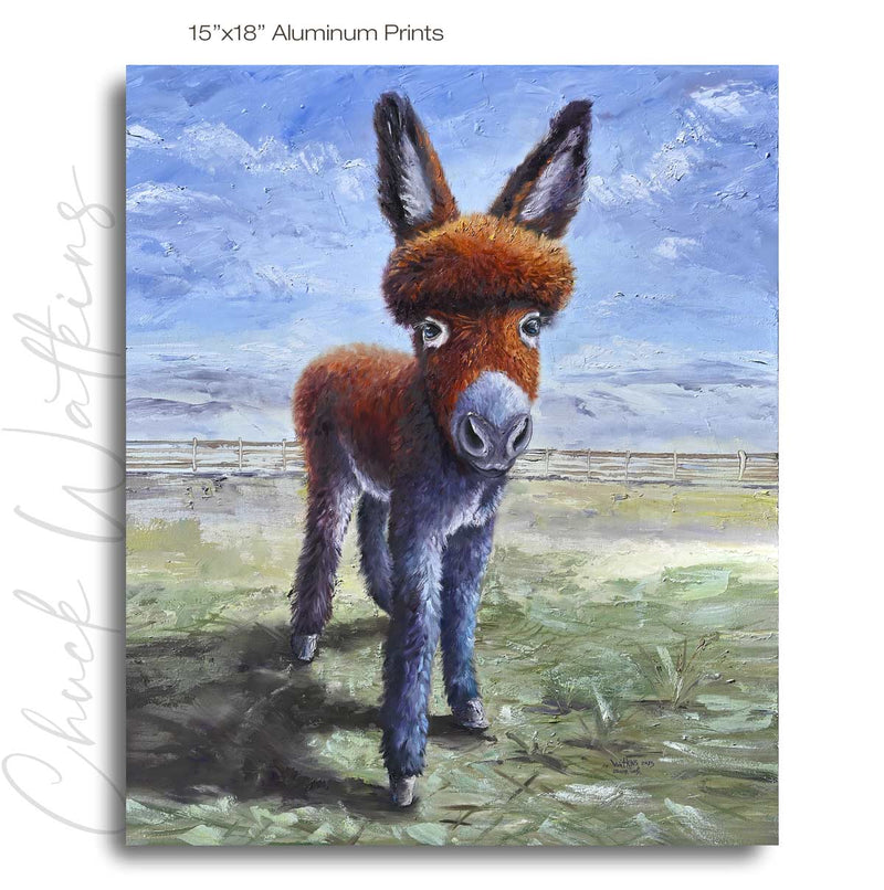 Oliver Twist the Burro, Donkey Wall Art Print by Chuck Watkins