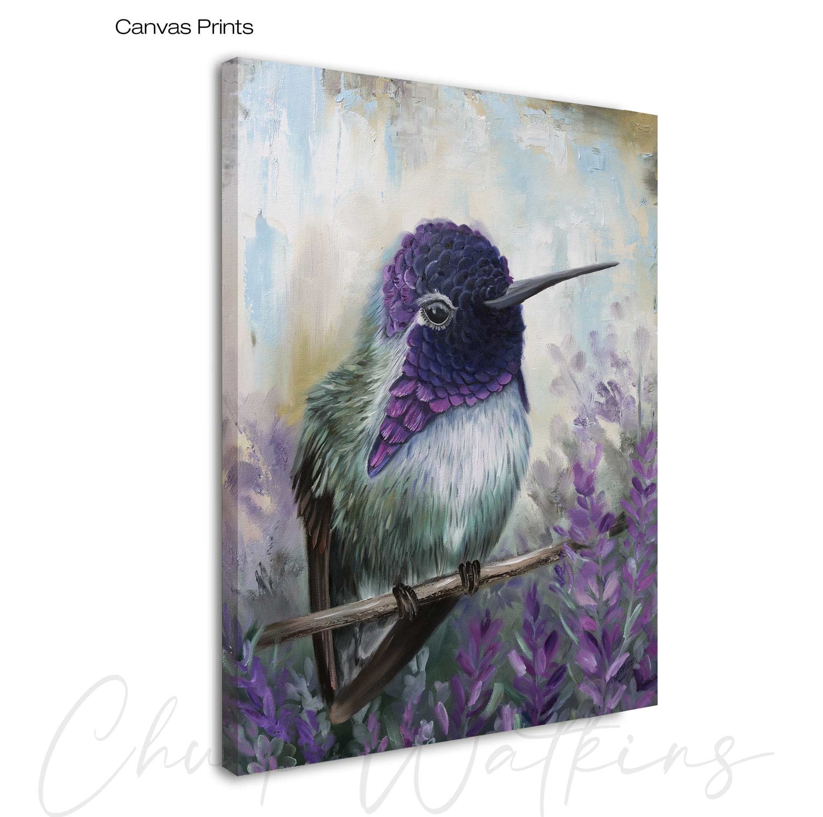 Rocco's Rose, Hummingbird Wall Art Print by Chuck Watkins