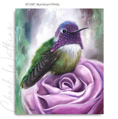 Rocco's Rose, Hummingbird Wall Art Print – Canvas & Aluminum – Chuck Watkins