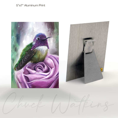 Rocco's Rose, Hummingbird Wall Art Print – Canvas & Aluminum – Chuck Watkins