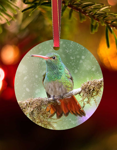 Rufous-tailed from Costa Rica, Hummingbird Christmas Ornament – Aluminum – Meagan Watkins by Chuck Watkins