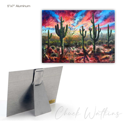 Saguaro National Park  - Southwest Wall Art Print – Canvas & Aluminum – Chuck Watkins