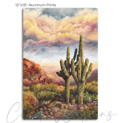 Saguaro Friends  - Southwest Wall Art Print – Canvas & Aluminum – Chuck Watkins