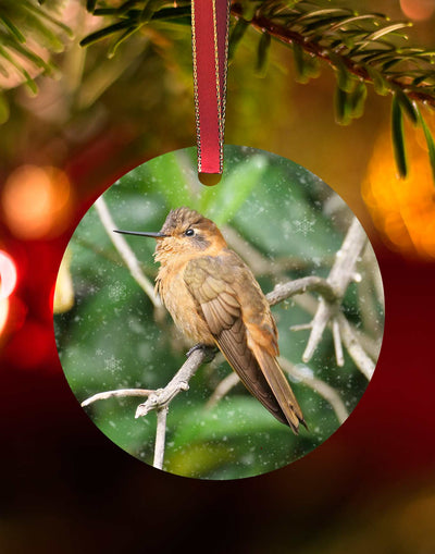 Shining Sunbeam from Equador, Hummingbird Christmas Ornament – Aluminum – Meagan Watkins by Chuck Watkins