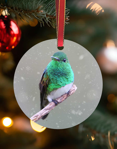 Snow-bellied, Hummingbird Christmas Ornament – Aluminum – Meagan Watkins by Chuck Watkins