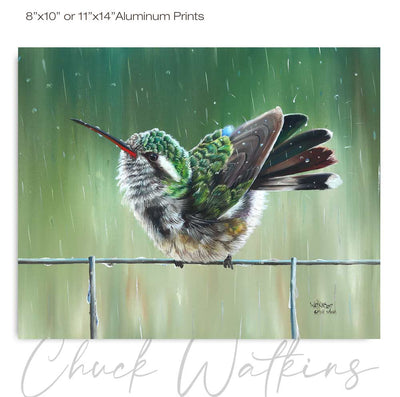 by Chuck Watkins
