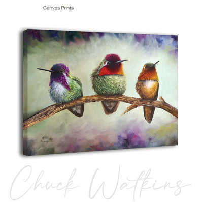 Three Amigos, Hummingbird Wall Art Print by Chuck Watkins