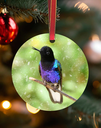 Velvet Purple-bellied Coronet in Equador, Hummingbird Christmas Ornament – Aluminum – Meagan Watkins by Chuck Watkins