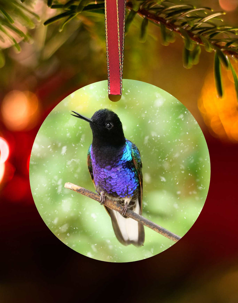 Velvet Purple-bellied Coronet in Equador, Hummingbird Christmas Ornament – Aluminum – Meagan Watkins