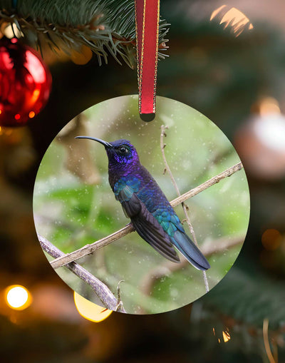Violet Sabrewing, Hummingbird Christmas Ornament – Aluminum – Meagan Watkins by Chuck Watkins