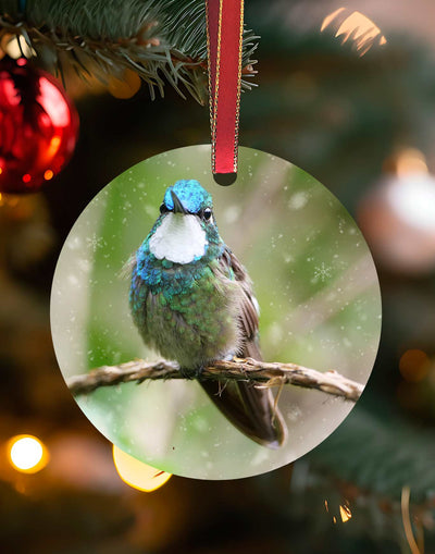 White-throated Mountain Gem from Costa Rica, Hummingbird Christmas Ornament – Aluminum – Meagan Watkins by Chuck Watkins