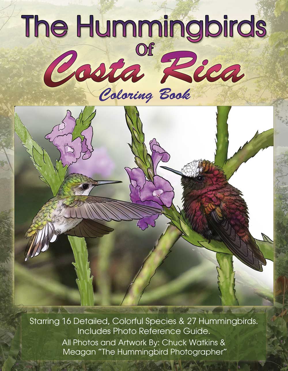 The Hummingbirds of Costa Rica Coloring Book – Chuck Watkins by Chuck Watkins