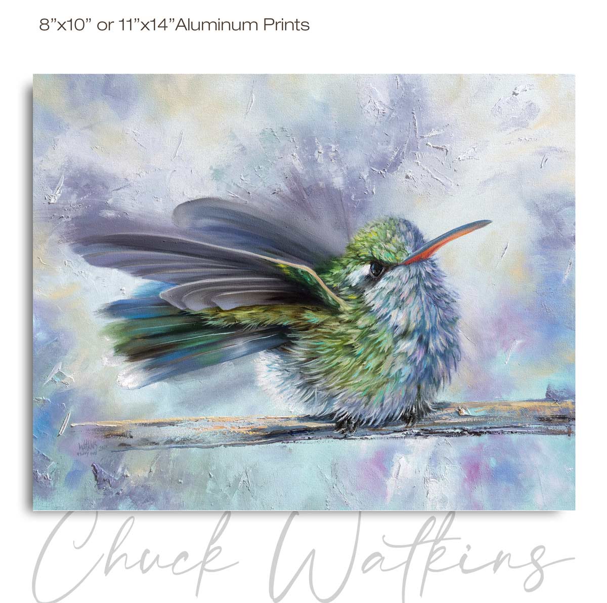 Fluffy Girl - Hummingbird Wall Art Print by Chuck Watkins