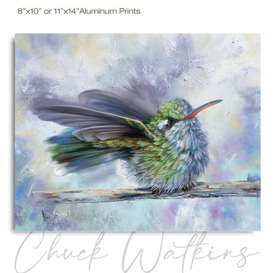 Fluffy Girl - Hummingbird Wall Art Print by Chuck Watkins