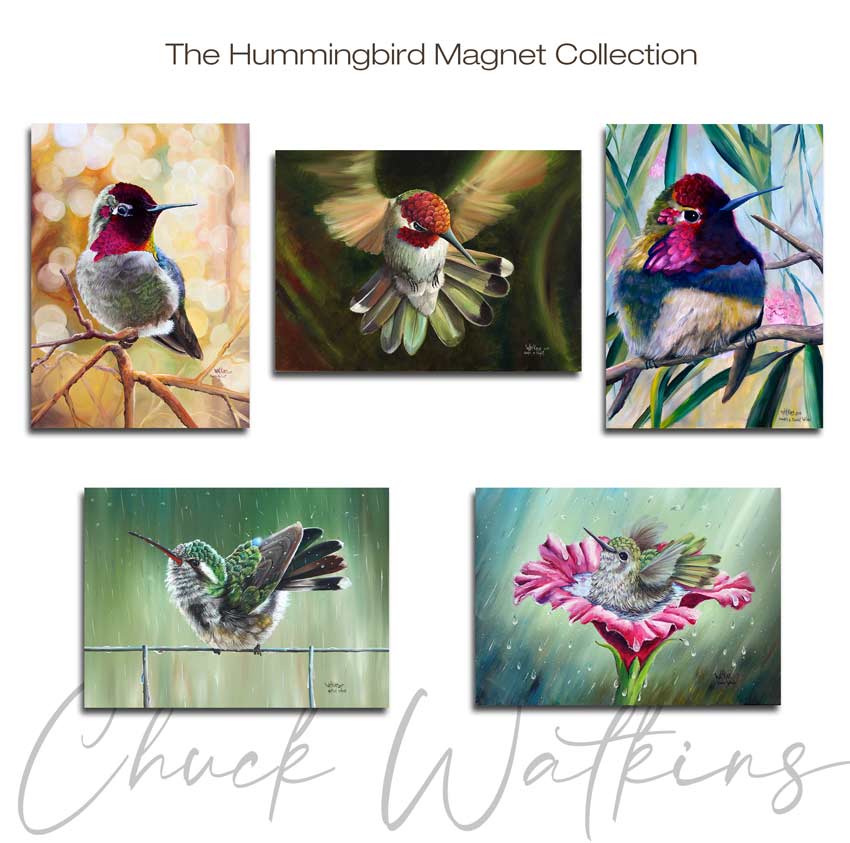 Hummingbird Magnet Collection -  Aluminum Magnet Collection, (5 pack), 4.5"x5" by Chuck Watkins