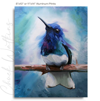 Jacobin Sky, Hummingbird Wall Art Print by Chuck Watkins