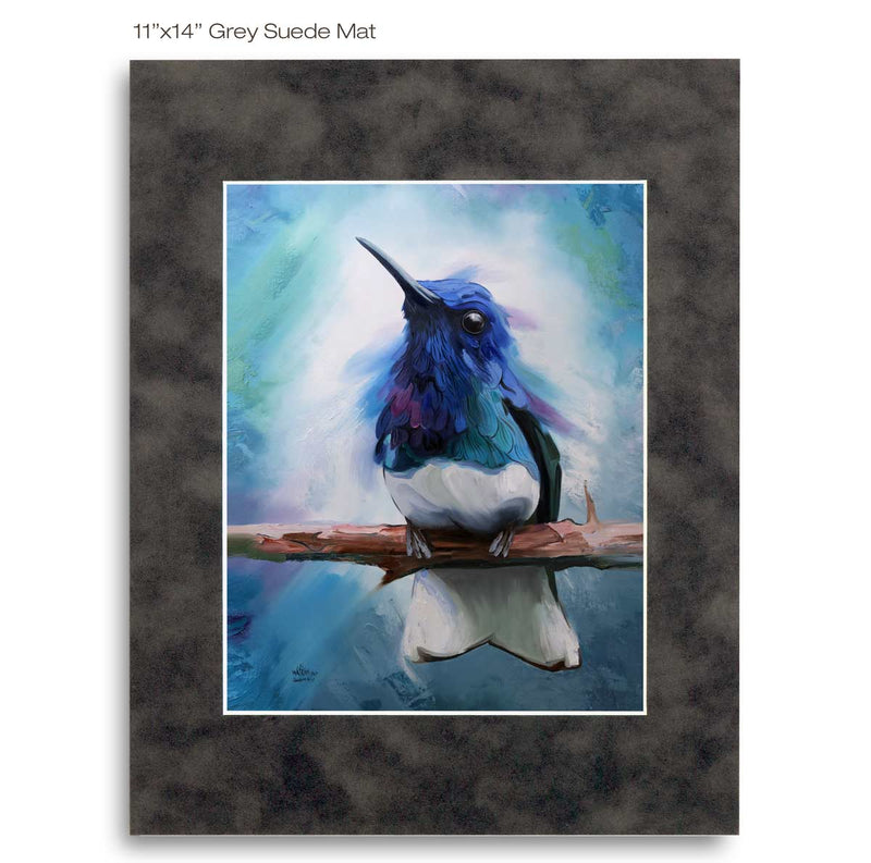 Jacobin Sky, Hummingbird Wall Art Print by Chuck Watkins