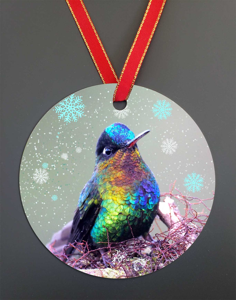 Fiery Throated Hummingbird, Hummingbird Ornament By Meagan Watkins by Chuck Watkins