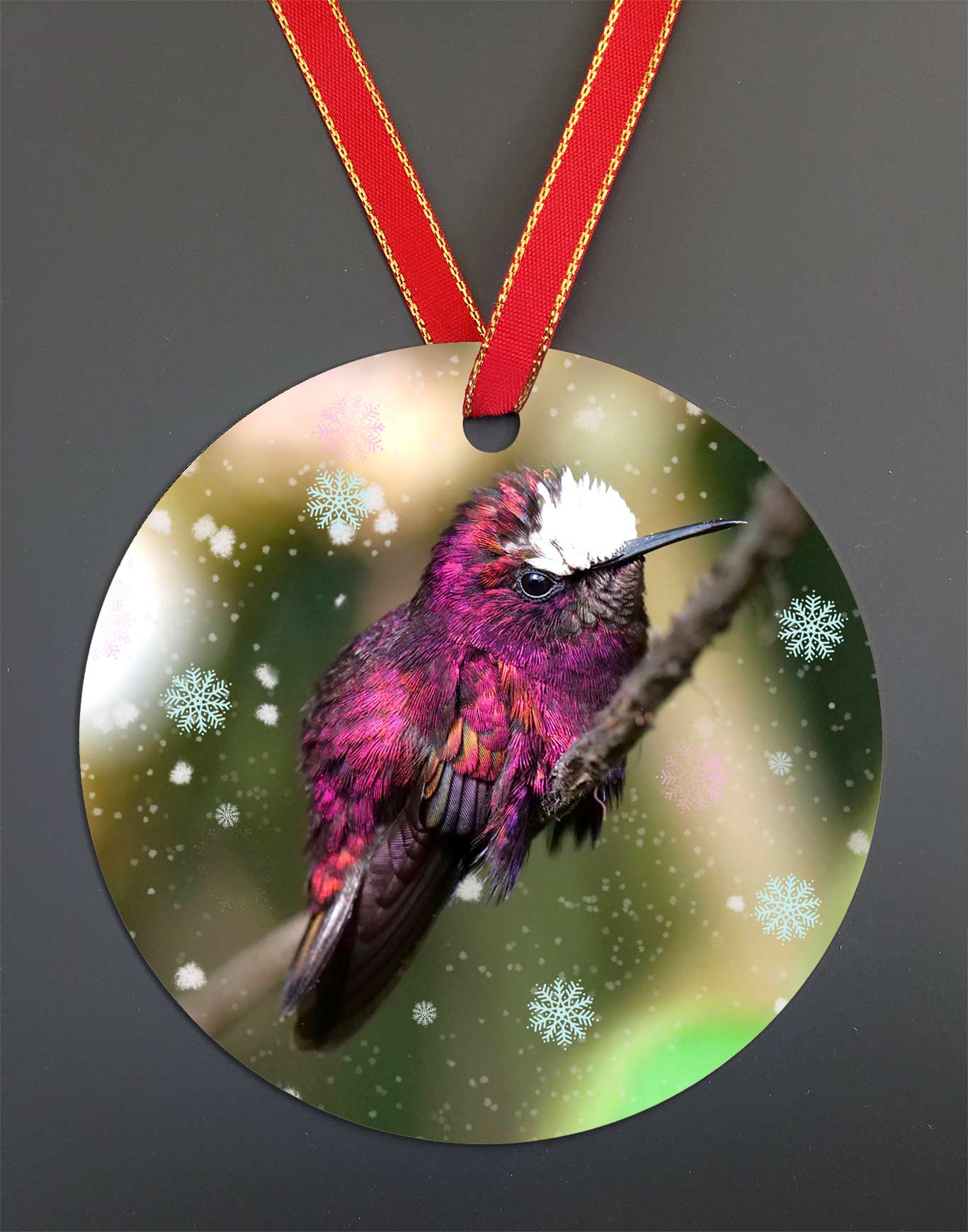 Snowcap Hummingbird Ornament By Meagan Watkins by Chuck Watkins