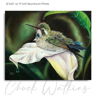 Little Blue on Calla Lily - Hummingbird Wall Art Print by Chuck Watkins