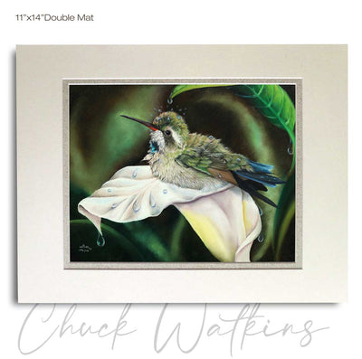 by Chuck Watkins