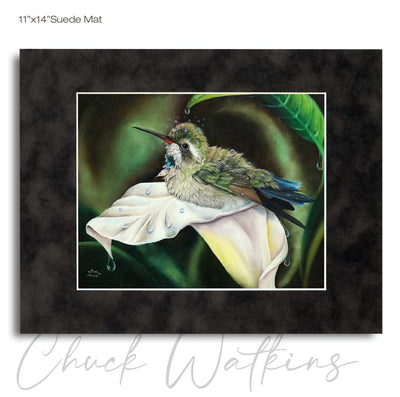by Chuck Watkins