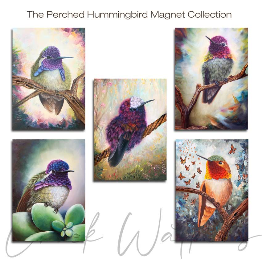 Perched Hummingbird Magnet Collection - Hummingbird Aluminum Magnet Collection, (5 pack), 4.5"x5" by Chuck Watkins
