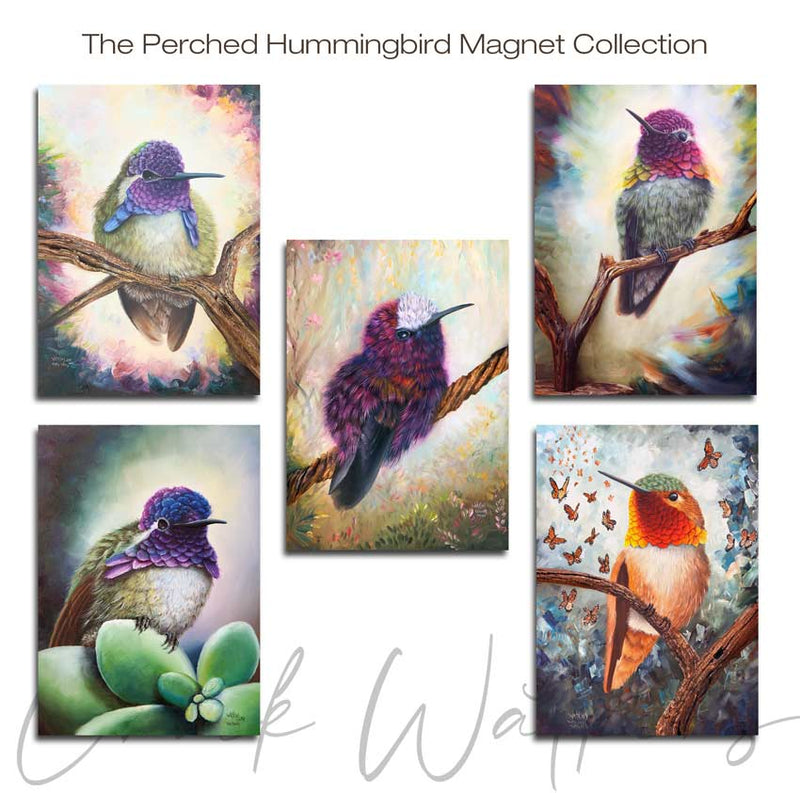 Perched Hummingbird Magnet Collection - Hummingbird Aluminum Magnet Collection, (5 pack), 4.5"x5" by Chuck Watkins